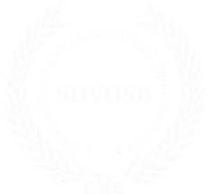 sdvosb white logo 300x280
